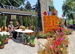 Mexico biến trung tâm thủ đô thành 'bảo tàng hoa' khổng lồ