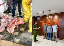 Thanh Hóa: Khởi tố 3 đối tượng giết mổ, tiêu thụ lợn nhiễm dịch tả châu Phi