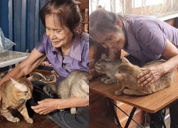 Bà lão 81 tuổi sống tằn tiện, dành tiền mua nhà hơn 800 triệu đồng cho mèo hoang
