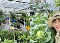 Cặp vợ chồng ở Đà Nẵng biến sân thượng 60 m thành 'nông trại mini', rau trái xanh mướt quanh năm