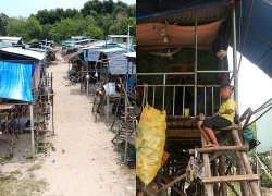 Công an Tây Ninh nói về hàng trăm Việt kiều ở hồ Dầu Tiếng chưa có căn cước