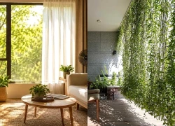 Không cần bật điều hòa cả ngày, 7 mẹo này giúp nhà hướng Tây mát hơn đáng kể giữa mùa nắng nóng