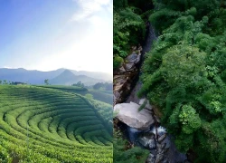 La Bằng thức giấc cùng du lịch xanh dưới chân Tam Đảo