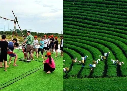 Làm mới trải nghiệm xanh cho mùa du lịch 2026