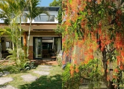 Người xưa dặn cây trước nhà không thể trồng bừa: Chọn 5 cây này thì giàu sang, gặp 3 cây này thì nên tránh