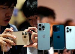 Những mẫu iPhone cũ vẫn đáng mua trong năm 2026
