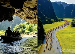 Sắc vàng Tam Cốc - Bích Động