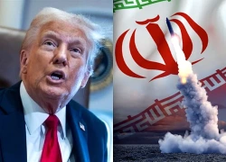 Tổng thống Trump 'không quan tâm bầu cử giữa kỳ' khi ra quyết định về Iran
