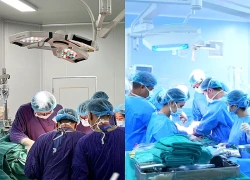 Từ một người hiến tạng chết não, 4 cuộc đời được hồi sinh