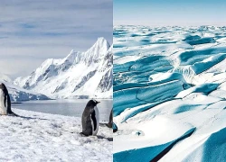 Vì sao châu Nam Cực không có người sinh sống lâu dài?