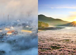 Xứ ngàn hoa níu bước chân du khách