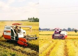 Công an cảnh báo tình trạng "bảo kê" máy gặt lúa