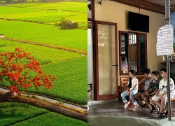 Mẹ tôi gom góp tiền lì xì để đón cháu về quê nghỉ hè