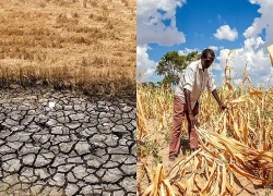 Nỗi lo siêu El Nino bao trùm châu Á, đe dọa lương thực và kinh tế khu vực