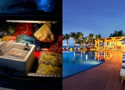 Cốp xe đầy quà quê và một sự thật tàn khốc tôi tìm thấy lúc 5 giờ chiều mùng 3/5