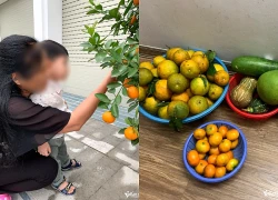 Nàng dâu 3 năm không về quê nghỉ lễ, hổ thẹn trước hành động của bố mẹ chồng U80