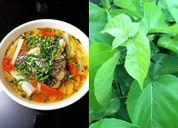 Nấu canh cá đừng chỉ dùng dứa và cà chua: Thêm một nhúm lá này vào, nước dùng thanh vị, khử sạch mùi tanh ngon hơn ngoài hàng