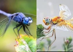 Sinh vào 3 giờ Âm lịch này: Không xuất sắc nhưng cực kỳ chăm chỉ, hậu vận sung túc hiếm ai bằng