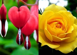 Từ nay đến ngày 25/5 dương lịch, 3 con giáp gặp thời khắc vàng, ngồi không cũng giàu, tiền xài phủ phê, cuộc đời êm ấm