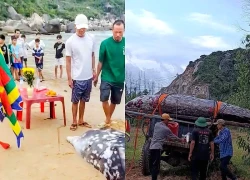 Xem người dân miền biển chôn cất cá voi nặng hơn 2 tấn theo nghi lễ truyền thống