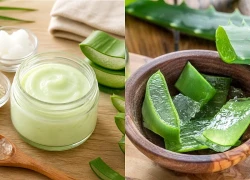 3 cách dùng nha đam chăm sóc, bảo vệ da mùa hè