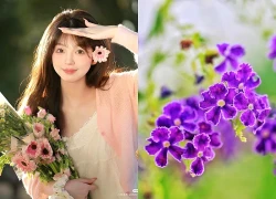 Bước qua tháng 4, tháng 5 âm lịch, 3 con giáp lật ngược tình thế, đổi số giàu sang, vận may bùng nổ, hồng phát tề thiên