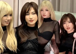 Hạ Anh Đào là ai mà khiến cả MXH dậy sóng, nổi khắp Việt Nam nhờ nhan sắc cần bảo tồn