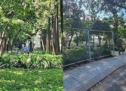 Người đàn ông tử vong trong khuôn viên cây xanh ở TPHCM
