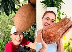 Nữ Phó Chủ tịch tuổi 53 chán hát, mê làm nông dân và sở hữu vườn 10.000m2