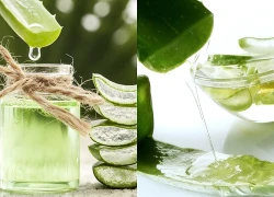 3 tác dụng của gel lô hội đối với tóc và da đầu