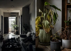 4 dấu hiệu nhà có "sát khí" cao: Ở lâu thấy ngột ngạt, mất cân bằng
