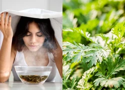 5 tác dụng của việc xông hơi ngải cứu cho da mặt