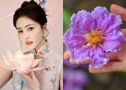 Cuối tuần này (16/5-17/5), 3 con giáp được Thần Tài mở kho phát ngân khố, hối hả gánh vàng về nhà, không ngừng có tiền mua xe tậu nhà