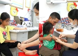Đắk Lắk: Nhiều người bị chó cắn, phải đi tiêm phòng bệnh dại