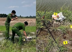 Đồng Tháp: 1 người tử vong nghi do sử dụng thiết bị kích điện bắt cá