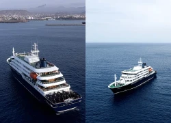 Hành khách được khuyên cách ly 42 ngày khi rời ổ dịch virus Hanta trên tàu