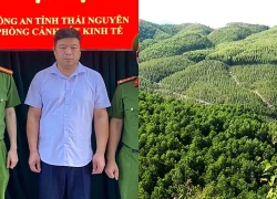 Nguyên công chức địa chính bị bắt vì làm sai hồ sơ 33ha đất rừng