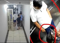 Nhắc đeo rọ mõm cho chó, thành viên ban quản trị chung cư ở Hà Nội bị hành hung