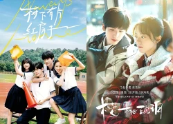Top 9 phim Hoa ngữ có lượt phát lại cao nhất mùa hè năm nay
