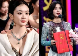 Triệu Lệ Dĩnh thất bại liên tiếp, tạm ngừng đóng phim, hé lộ lý do không ngờ?