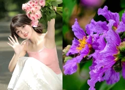 Trong 4 ngày 12, 13, 14, 15 tháng 5, 3 con giáp cá Chép hóa Rồng, tay trái chạm vàng, tay phải vét lộc, ngồi không cũng rủng rỉnh tiền đầy túi