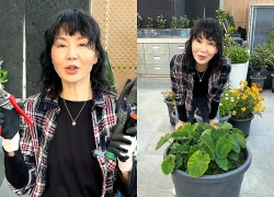 Trương Mạn Ngọc rời showbiz về làm nông, hút triệu fan trên mạng xã hội