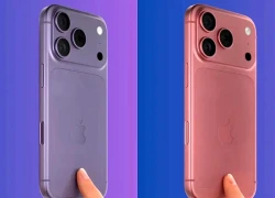 Vì sao thông tin về giá iPhone 18 lại là tin tốt cho người dùng Apple?