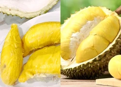 Ăn sầu riêng như thế nào để tốt cho sức khỏe?