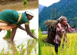 Châu Á và châu Phi chia sẻ mô hình, kinh nghiệm phát triển nông thôn