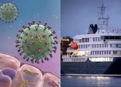Chùm ca nhiễm virus Hanta trên tàu du lịch: Bộ Y tế phát khuyến cáo khẩn