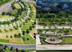 Đề nghị truy tố vắng mặt Chủ tịch Cây xanh Công Minh