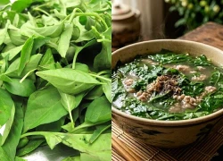 Lá này canxi gấp 2 lần sữa, giúp thanh nhiệt, giải độc còn dưỡng gan, nấu canh cực ngon mà chẳng phải ai cũng biết