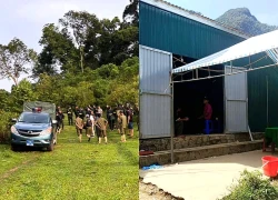 Nghi phạm sát hại vợ cũ được phát hiện tử vong trong rừng