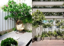 Những vị trí lý tưởng thiết kế sân vườn trong nhà phố